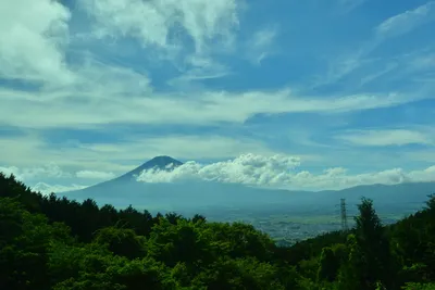 DSC_3670 (Large).JPG